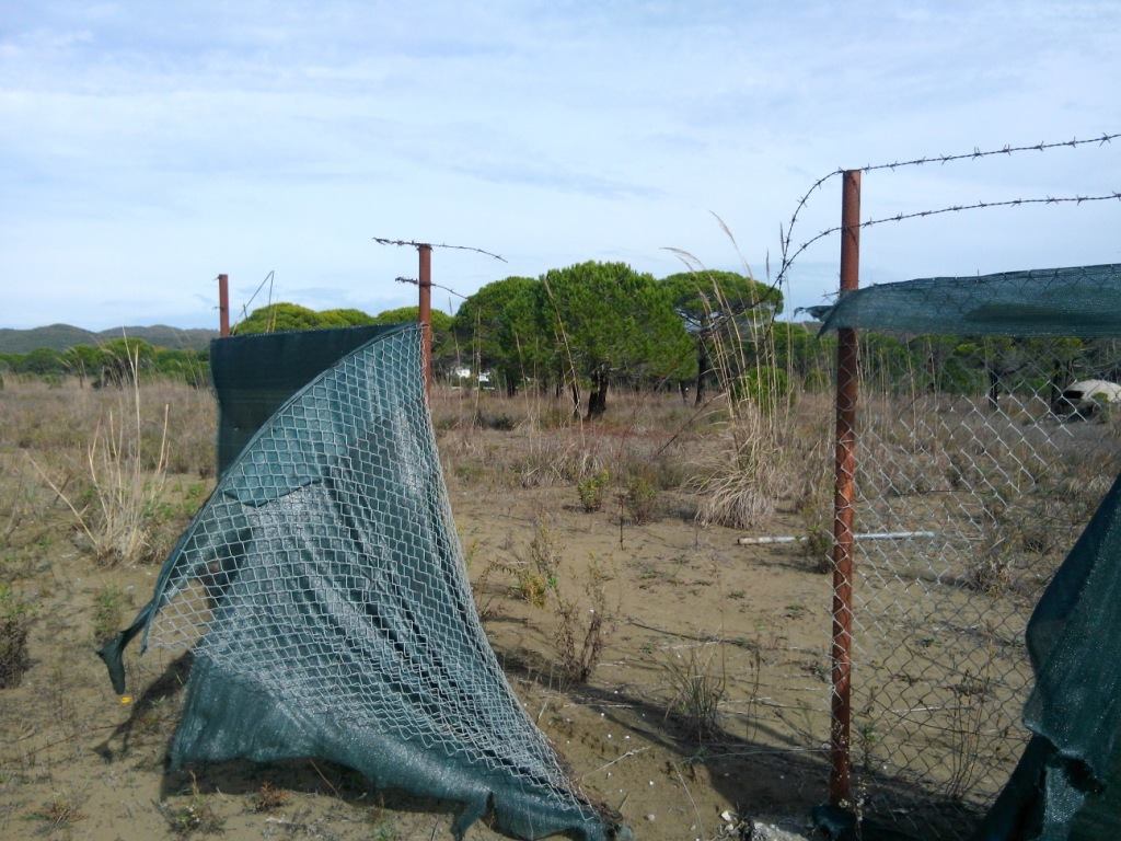 FOTO GALERI/ Biznesmenit të dhunuar libanez i uzurpojnë tokën tek Gjiri i Lalzit me firmën e Vangjush Dakos