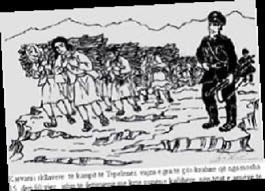 Nga “La Sapienza” në kampin e Tepelenës, jeta e një doktori në diktaturë