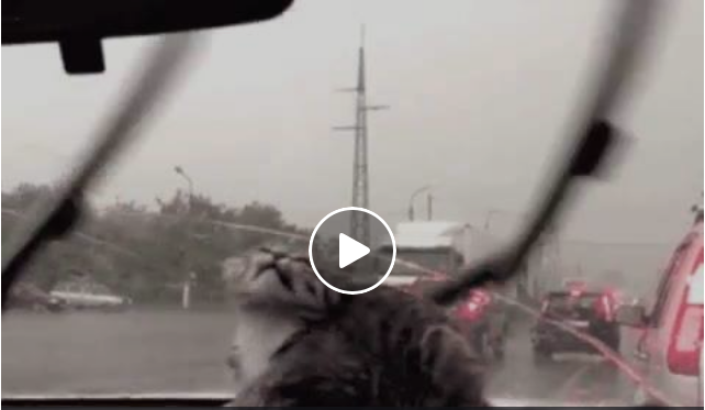 VIDEO/ Erion Veliaj jashte realitetit, poston video me macet per permbytjet