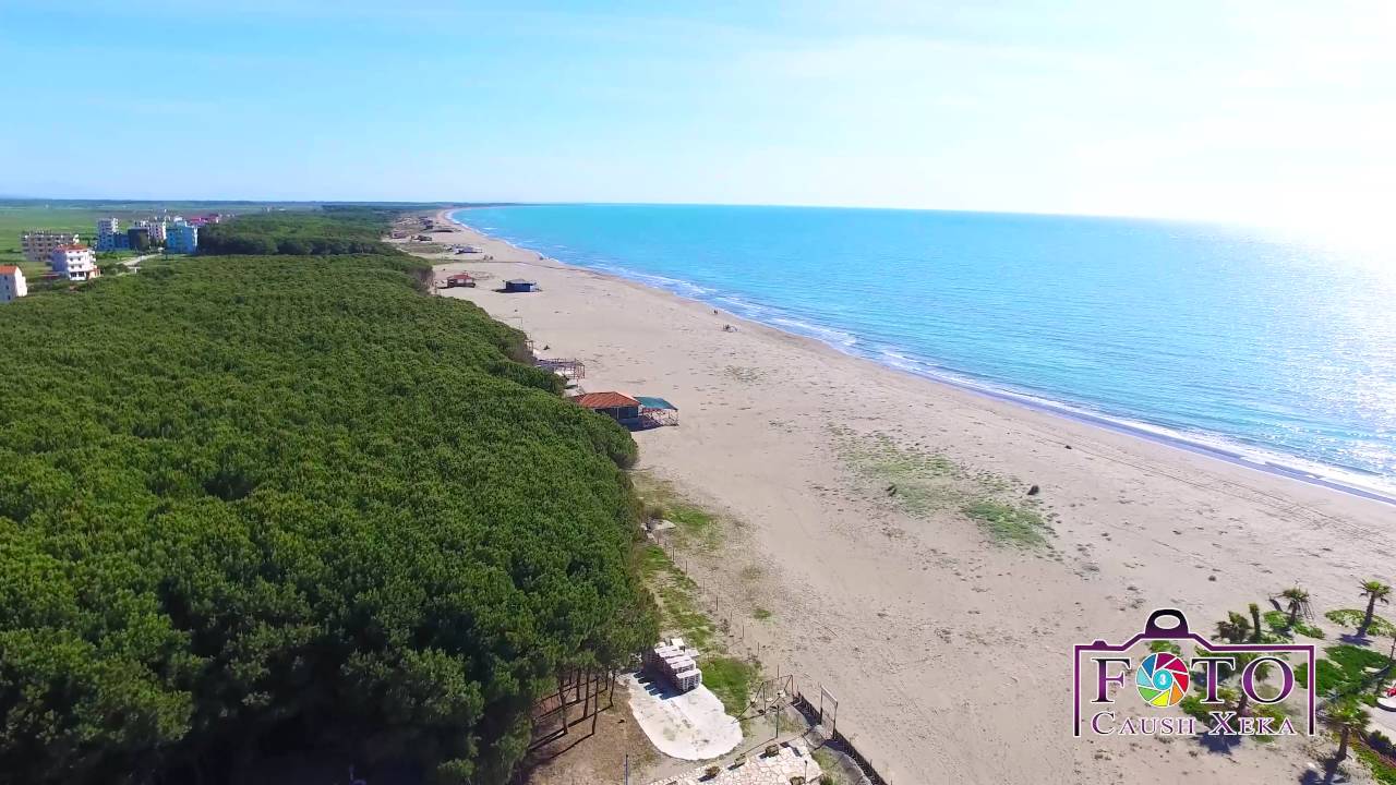 Policia publikon detajet e operacionit në Kavajë, u vodhën tokat e shtetit, ja çfarë ju gjet të arrestuarve