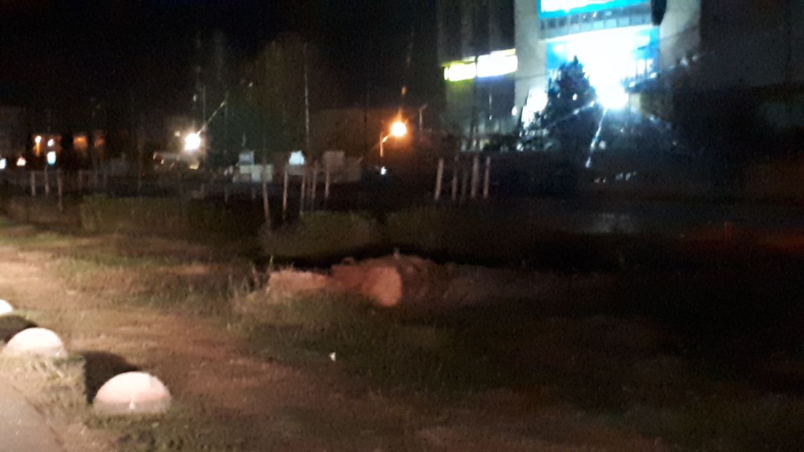 FOTO LAJM/ Gjatë mbrëmjes ka nisur operacioni sharrojmë palmat se u thanë