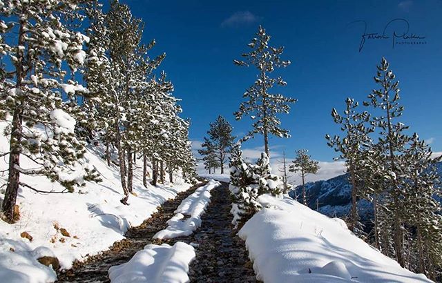 Krishtlindje me borë në 90% të territorit, temperaturat ulen këtë javë deri në -7 gradë
