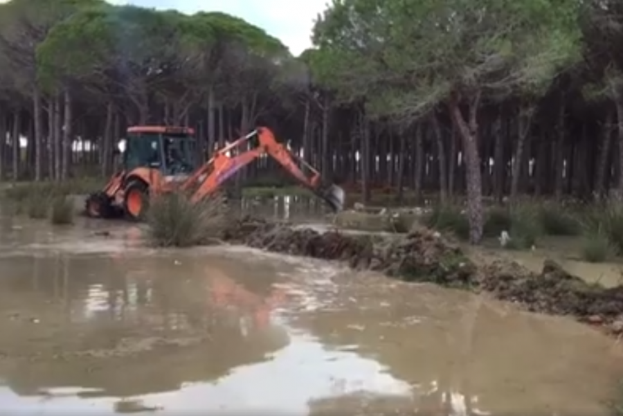VIDEO/ Bashkia punon për forcimin e argjinaturës, niveli i ujit në Darzezë nuk ka rënë