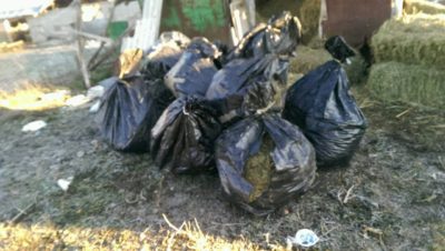 EMRI & FOTO GALERI/ Gjirokastër, sekuestrohen 281 kg drogë dhe armë në stan, pranga 60-vjeçarit nga Lazarati