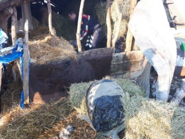 EMRI & FOTO GALERI/ Gjirokastër, sekuestrohen 281 kg drogë dhe armë në stan, pranga 60-vjeçarit nga Lazarati