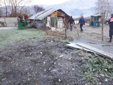 EMRI & FOTO GALERI/ Gjirokastër, sekuestrohen 281 kg drogë dhe armë në stan, pranga 60-vjeçarit nga Lazarati