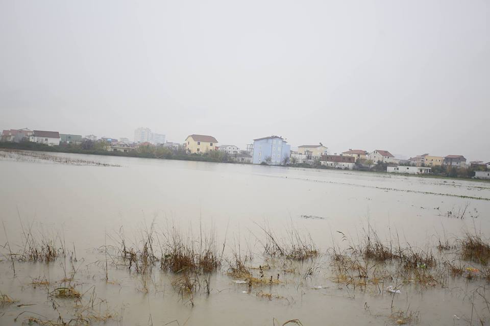 BILANCI PËRMBYTJEVE & FOTO GALERI/ Qeveria braktis Kamzën, ja sa familje janë përmbytur