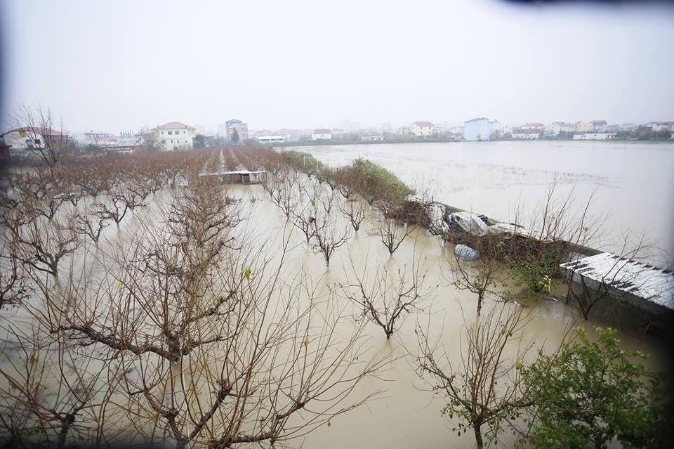 BILANCI PËRMBYTJEVE & FOTO GALERI/ Qeveria braktis Kamzën, ja sa familje janë përmbytur