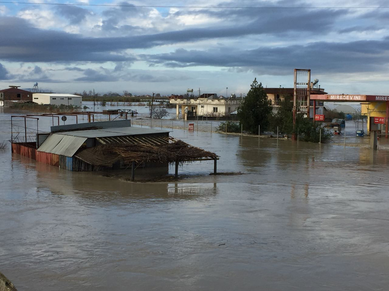 DOKUMENTI/ FA kërkesë për ndihmë NATO-s: Na duhen edhe pelena dhe ushqim për kafshë