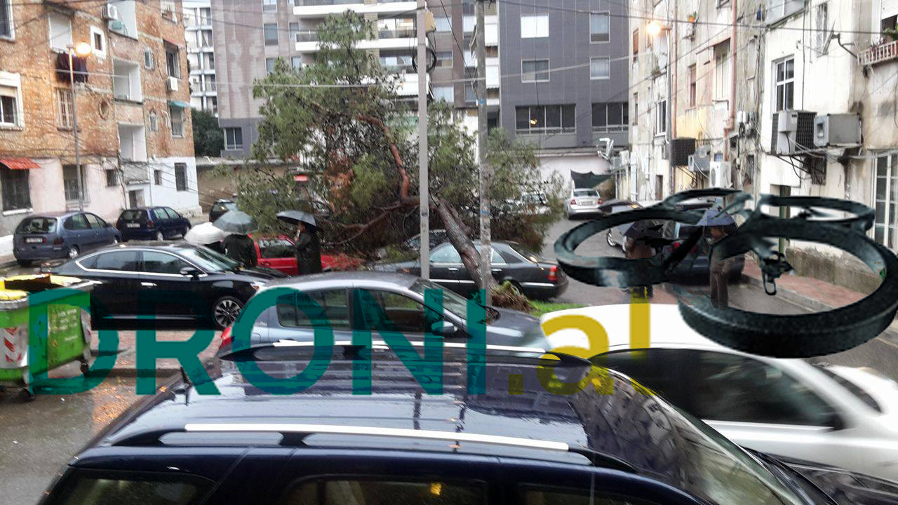FOTO LAJM/ Tiranë, shkulet pema, dëmtohen disa automjete