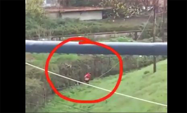 VIDEO/ Tifozen e Partizanit e kap keq në Lushnje – “Mbaje shofer se më shpëtoi…!”