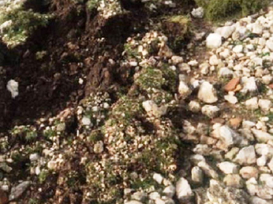 FOTO/ Rreziku i shembjes së shpatit të malit bllokon qarkullimin për 4 fshatra të Vlorës
