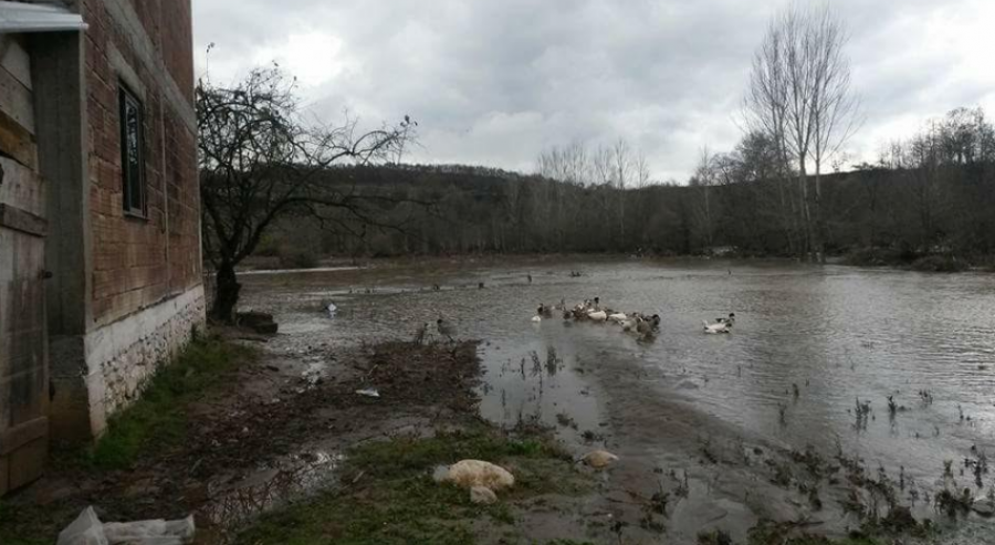 FOTO/ Përmbytet edhe Mati, deputetja e PD: Situata në fshatin Bruc është alarmante
