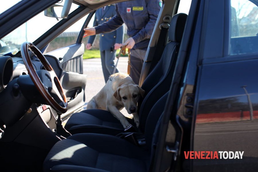 FOTO/ Kapet ‘bosi’ i trafikut të heroinës në trinomin Maqedoni-Elbasan-Itali, arrestohen 9 shqiptarë