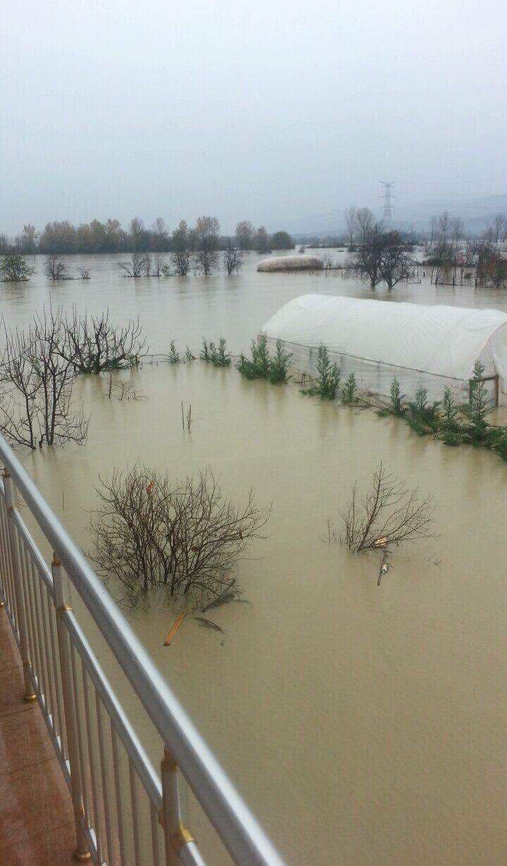 FOTO GALERI/ “U veprua me vonesë”, Basha i gjendet pranë të përmbyturve në Fushë Krujë