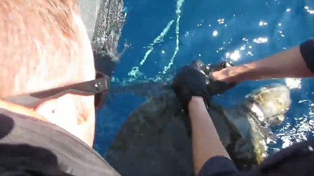 VIDEO & FOTO GALERI/ Breshka “trafikante”, ngec mes pakove me kokainë