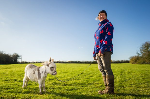 FOTO GALERI/Kjo kafshë thyen një rekord botëror, por nuk e merr dot çmimin për një arsye…