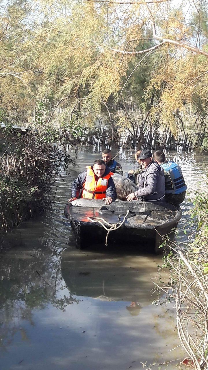 FOTO/ Operacion në Hoxharë, pas banorëve, FA nis evakuimin e bagëtive