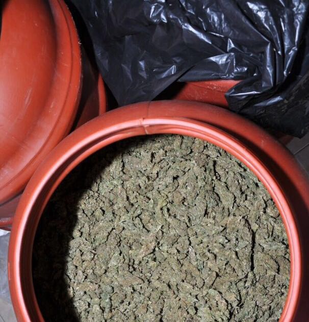 11 thasë plasmasi dhe 2 fuçi me kanabis gjenden në shtëpinë e një 69-vjeçareje në Memaliaj