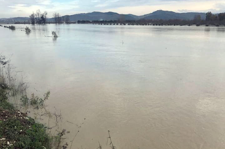 VIDEO/ Pamje nga droni, përmbytjet e Vjosës, shihen vetëm çatitë e shtëpive