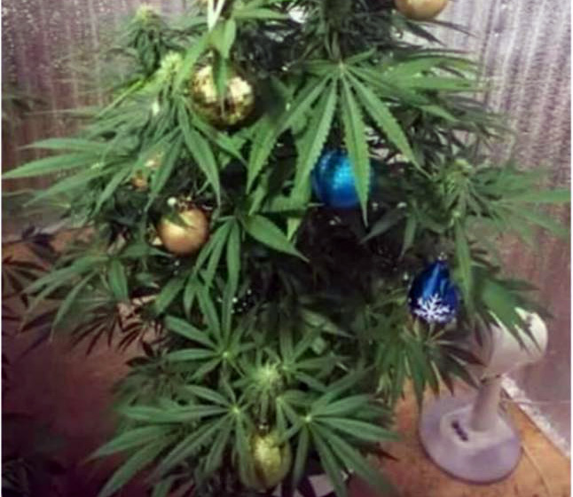 FOTO LAJM/ Kartolina e Vitit të Ri që qytetarët i dërgojnë  Edi Ramës