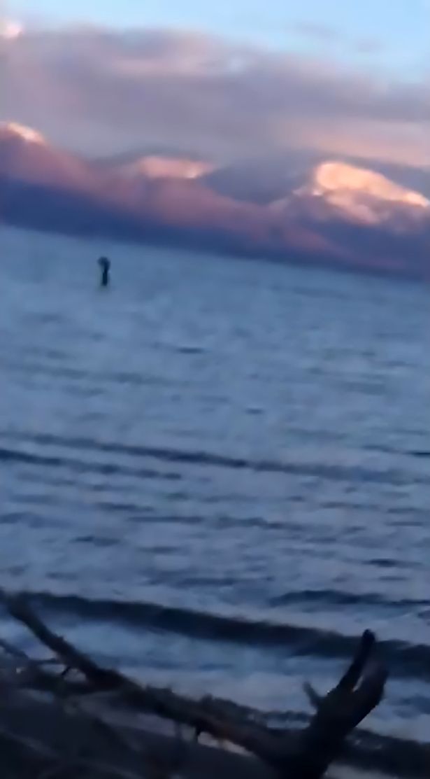 FOTO GALERI/ The Mirror: Përbindëshi i famshëm i liqenit, “për pushime” në Shqipëri