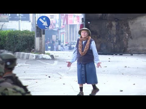VIDEO/ Gjyshja që s’njeh frikën, negocion për paqe mes ushtrisë izraelite dhe demonstruesve palestinezë