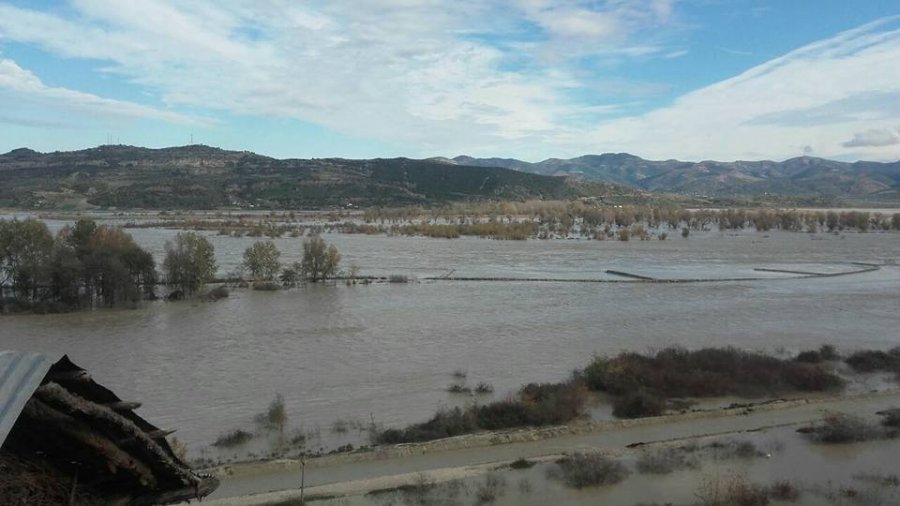 FOTO GALERI/ Selenica e paralizuar nga përmbytjet, bllokohet qarkullimi drejt Vlorës