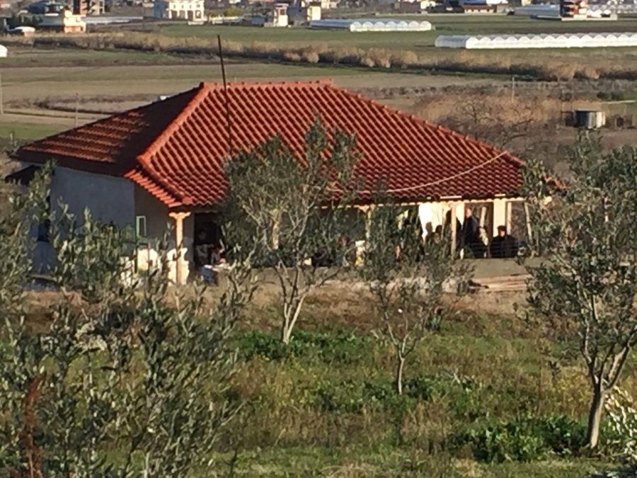 VIDEO/ Pas sherrit me kushërinjtë e Arielës, Aldo kishte paralajmëruar krimin e dyfishtë