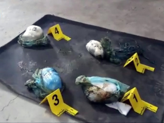 FOTO/ Kapshticë, sekuestrohet heroinë në autobus