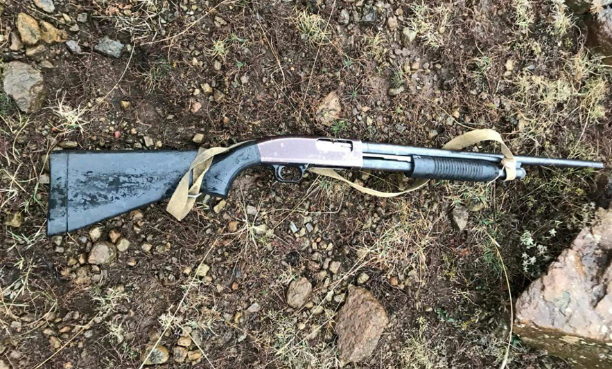 DETAJE/ Has, plagosja me çifte e 28-vjeçarit, për kalin që hyri në kopshtin e fqinjit