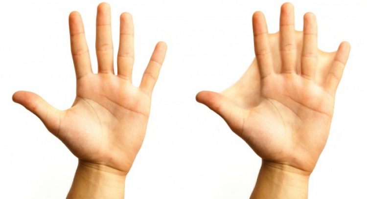 VIDEO/ WOW…! E pa besueshme por e vërtet, kështu do jetë jeta jonë 50 – 100 vite më vonë