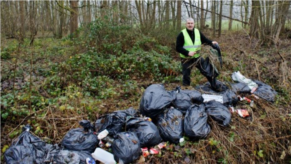 FOTO/ Belgjikë, shqiptarët kultivojnë kanabis në plantacione