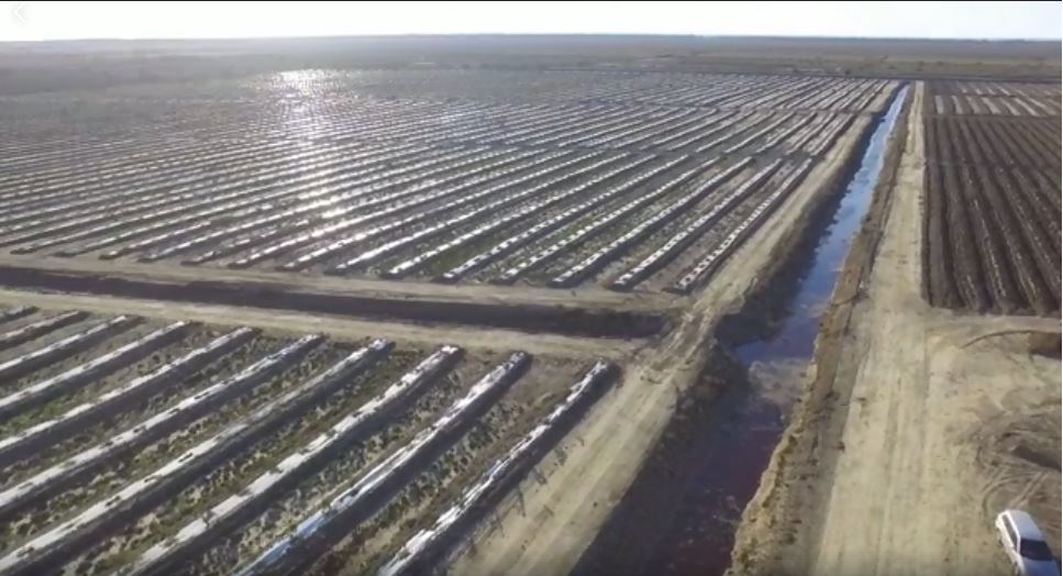 VIDEO & MESAZHE/ Edi Rama uron mirëmëngjesi…, si përgjigje merr…: O pallosh i rilindjes dikur ti…!