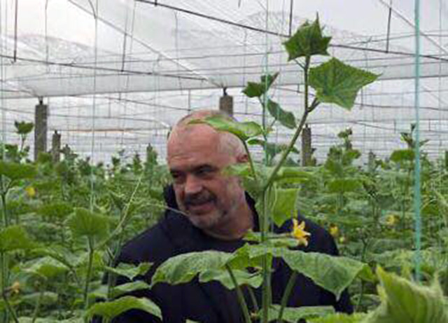 FOTO LAJM/ Edi Rama mes kastravecëve plas ironi: Ke ngatërruar serën…! Kush është më i gjatë…?!