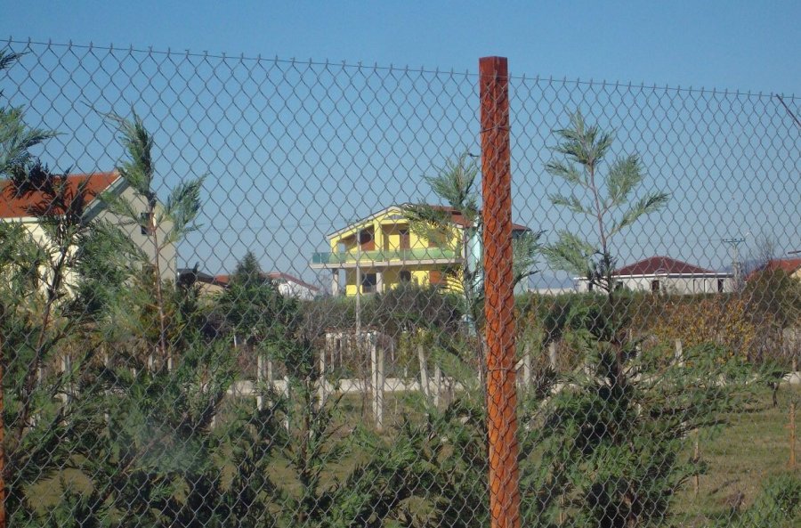 FOTO GALERI/ Lezhë, sekuestrohen 1.4 milionë euro pasur një grupi kriminal