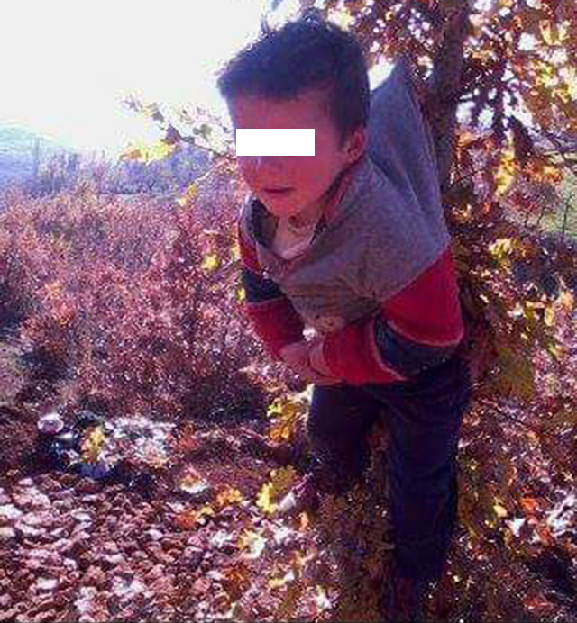 DETAJE & FOTO/ Librazhd, vari nipin në pemë, shoqërohet babai dhe xhaxhai i 6-vjeçarit