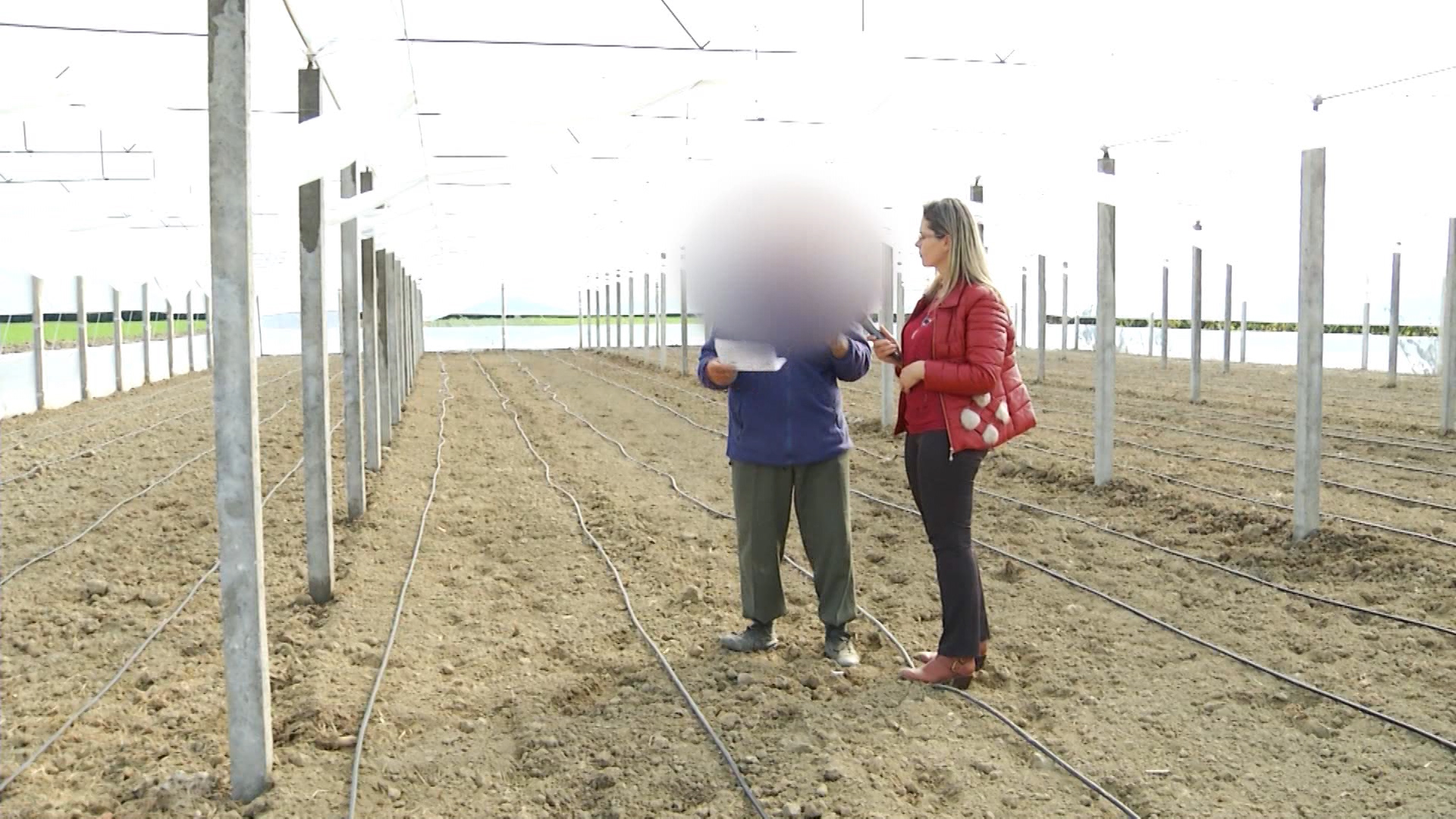 Fermeri tregon si e fryn vicin: Vetë ha bukë me kripë, atë mish jo!