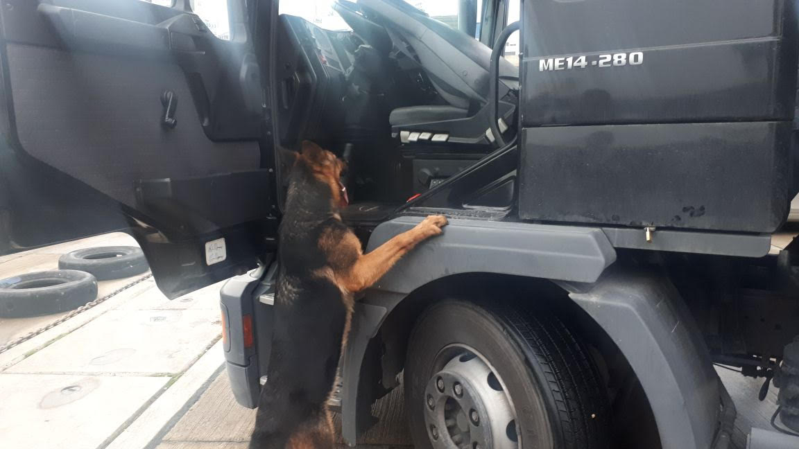 EMRI/Sasi e madhe heroine në Portin e Durrësit, ja ku e gjeti policia