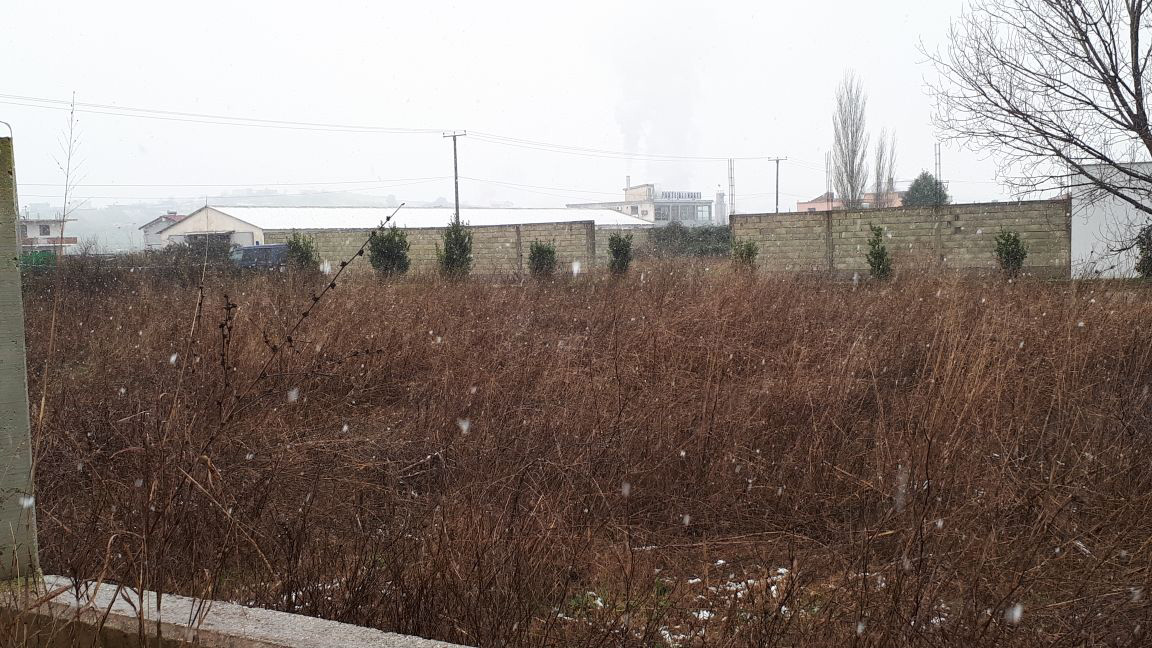 DETAJE & FOTO GALERI/ Kokaina në Durrës, ja shoferi dha kamioni ku u bllokua droga