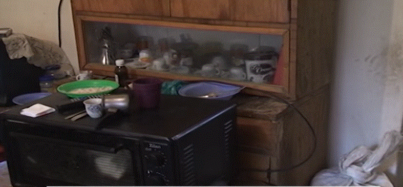 Basha: Ta pushojmë nga puna Ramën që të gjejmë punë për të gjithë