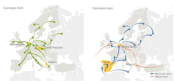 INTERVISTA/ Trafikantët shqiptarë po pushtojnë Europën, lidhjet me bosët e krimit në Shqipëri