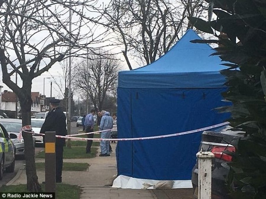 EMRI & FOTO GALERI/ Londër, tjetër ngjarje misterioze, gjendet i vdekur armiku i Putin