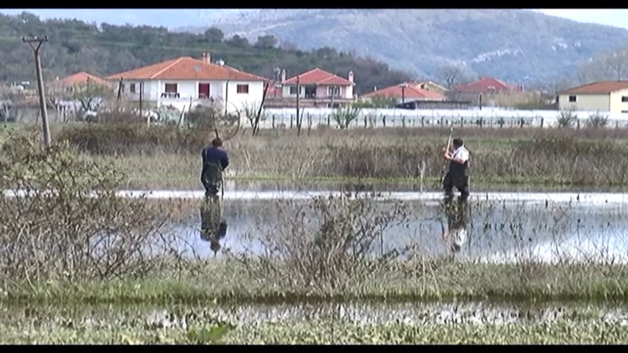 FOTO & VIDEO/ Humbën çka mbollën, banorët në Anën e Malit peshkojnë krap në arat e përmbytura