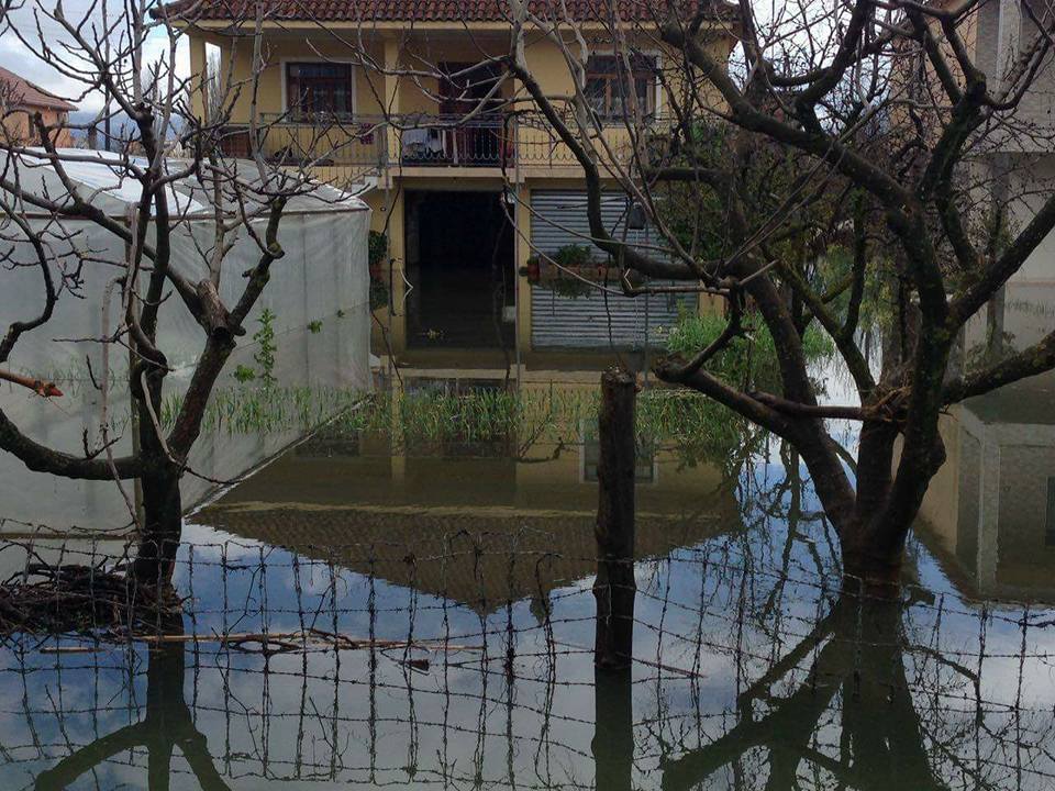 FOTO GALERI/ “Gjendja në Shkodër kriminale, zyrtarët që refuzojnë të marrin përgjegjësitë, do të përballet me pasojat ligjore dhe penale”