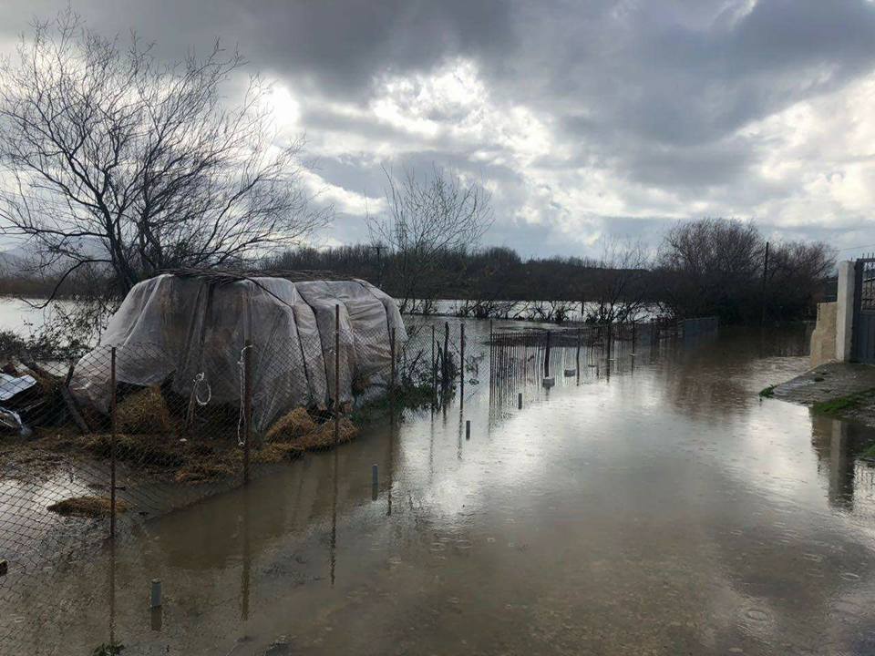 FOTO GALERI/ “Gjendja në Shkodër kriminale, zyrtarët që refuzojnë të marrin përgjegjësitë, do të përballet me pasojat ligjore dhe penale”