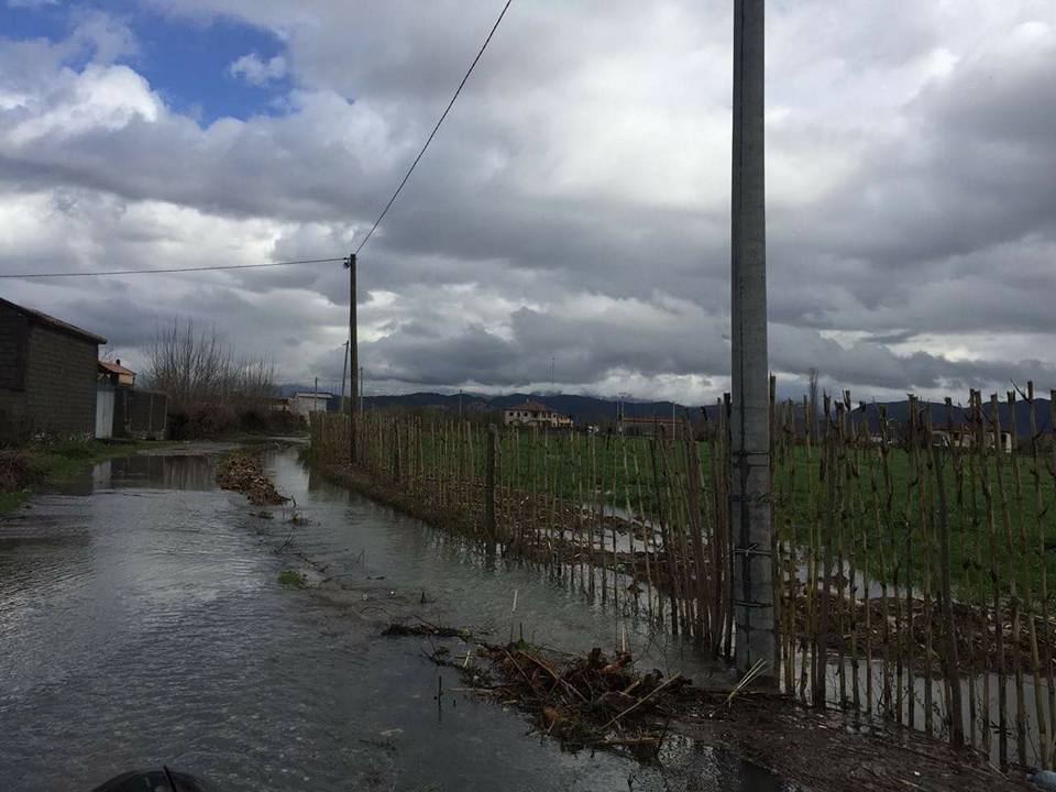 FOTO GALERI/ “Gjendja në Shkodër kriminale, zyrtarët që refuzojnë të marrin përgjegjësitë, do të përballet me pasojat ligjore dhe penale”