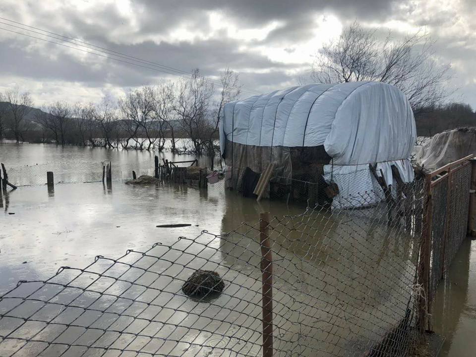 FOTO GALERI/ “Gjendja në Shkodër kriminale, zyrtarët që refuzojnë të marrin përgjegjësitë, do të përballet me pasojat ligjore dhe penale”
