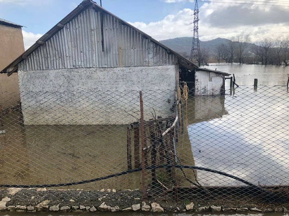 FOTO GALERI/ “Gjendja në Shkodër kriminale, zyrtarët që refuzojnë të marrin përgjegjësitë, do të përballet me pasojat ligjore dhe penale”
