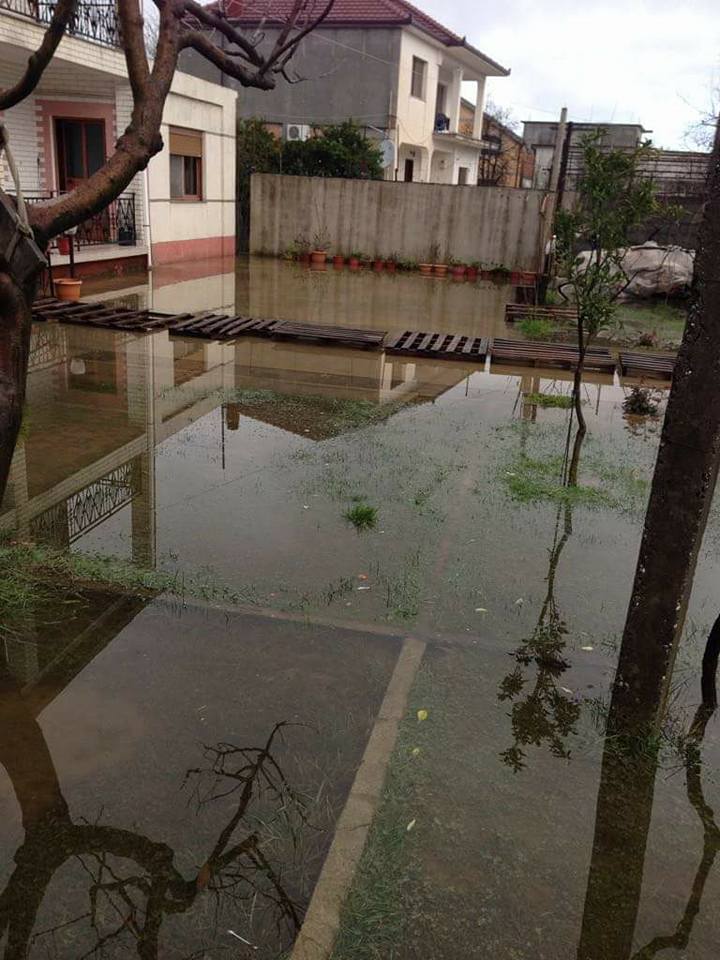 FOTO GALERI/ “Gjendja në Shkodër kriminale, zyrtarët që refuzojnë të marrin përgjegjësitë, do të përballet me pasojat ligjore dhe penale”